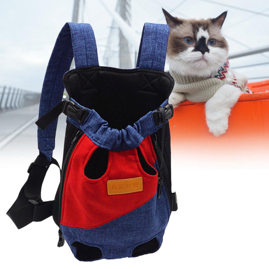 Dog And Cat Backpacking