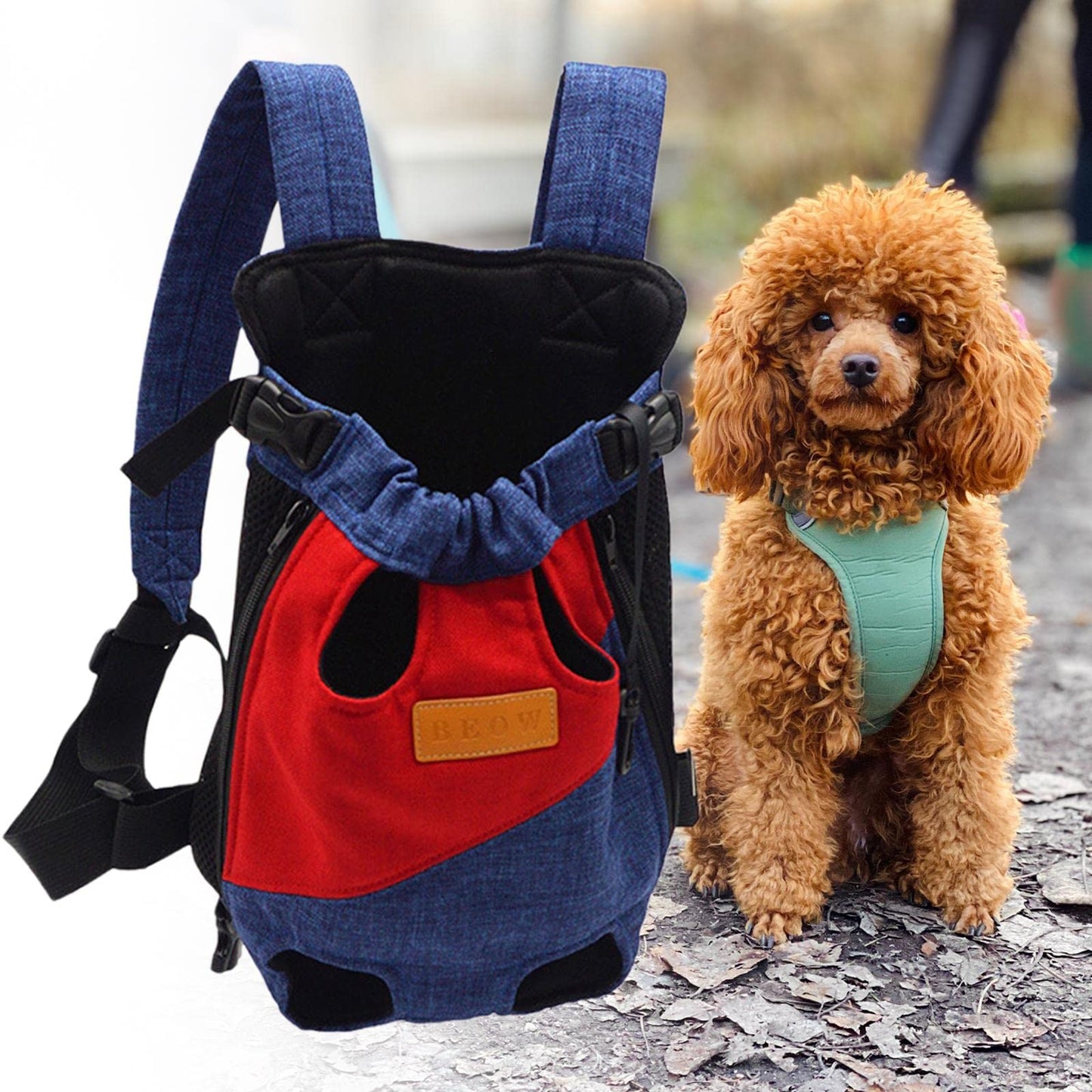 Dog And Cat Backpacking